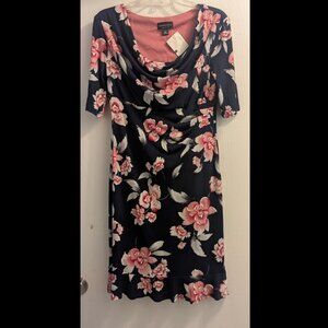 Connected Women's 1/2 Sleeve Cowl Neck Dress